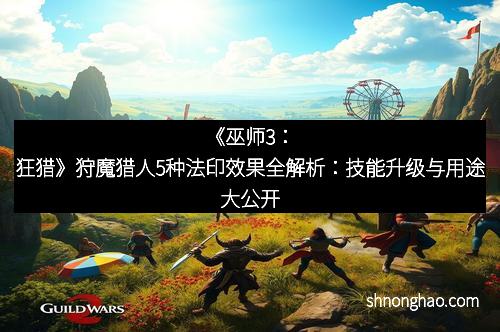 《巫师3：狂猎》狩魔猎人5种法印效果全解析：技能升级与用途大公开